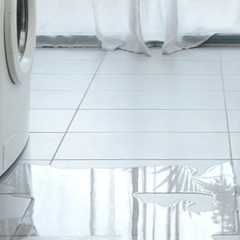 Appliance Leak Cleanup in Waldport, OR
